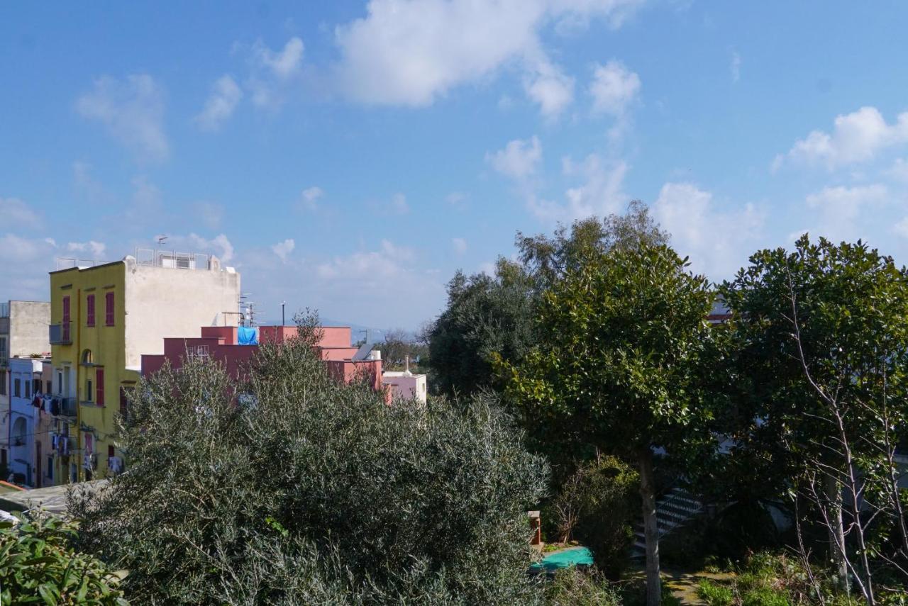 Stella Marina Apartments Procida Exterior photo